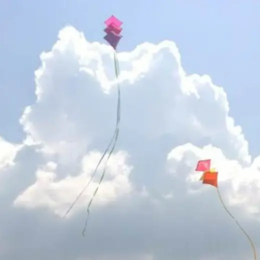 Cerf-volant