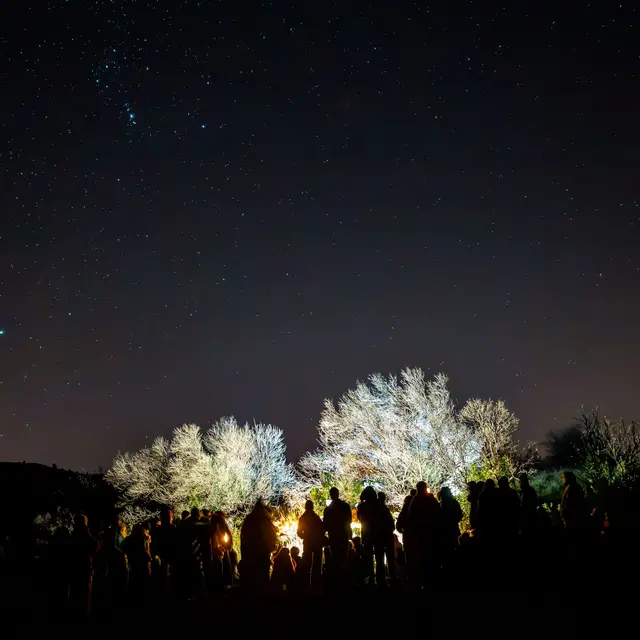 Croire-aux-fauves-122-©Kalimba