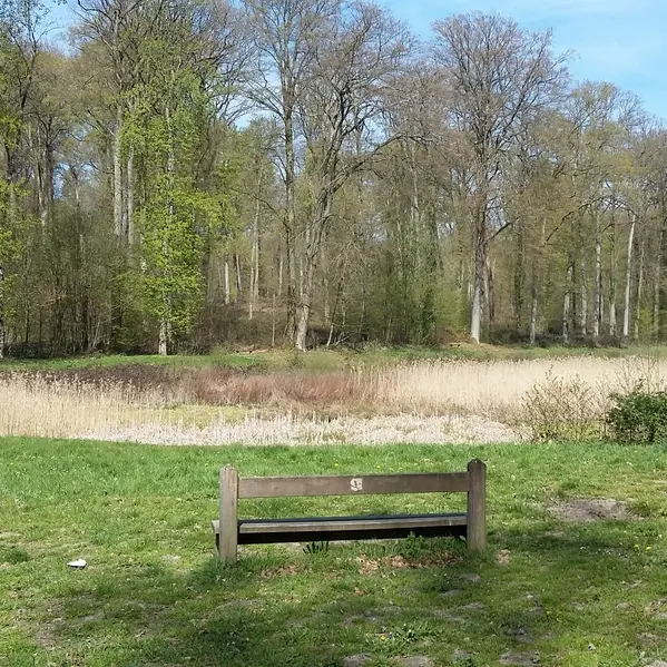Etang de Malva - foret de Retz