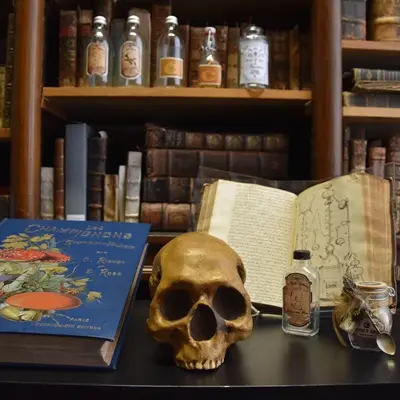Expositionpoisons-mediatheque-agnda-valenciennes