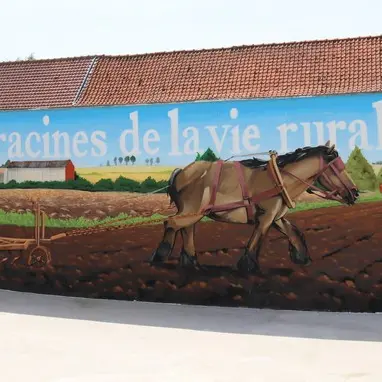 Ecomusee-vie-rural-Ledringhem-AL-2023 (source Tourisoft 2025)