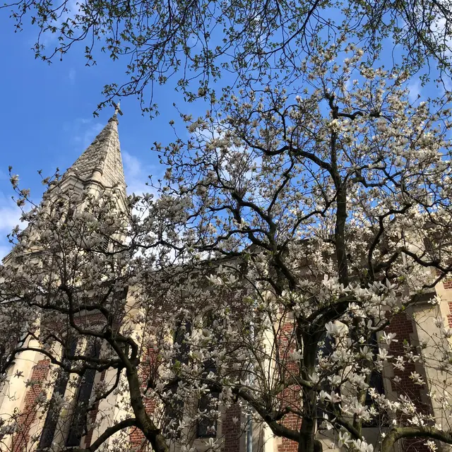 Temple Protestant de Lille
