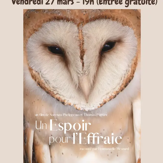 un espoir pour l'effraie