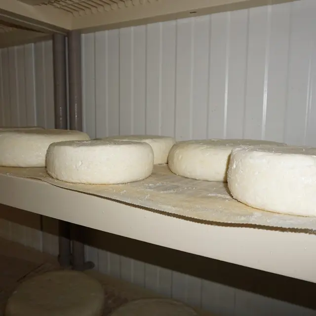 Ferme Top - Pitgam