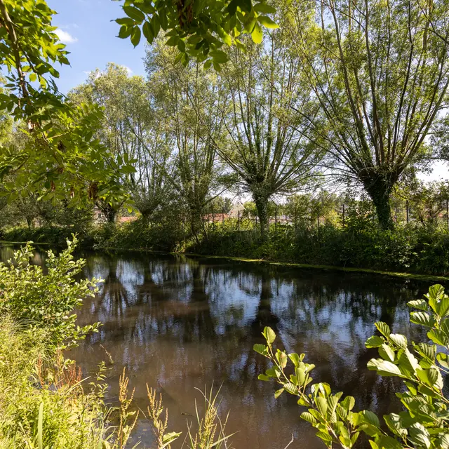 Fresnes-sur-Escaut-parc-Joliot-Curie-OTCVM©claude.waeghemackerHD-41