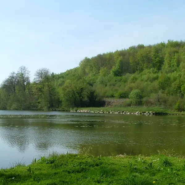 Etang de la Ramee en foret de Retz