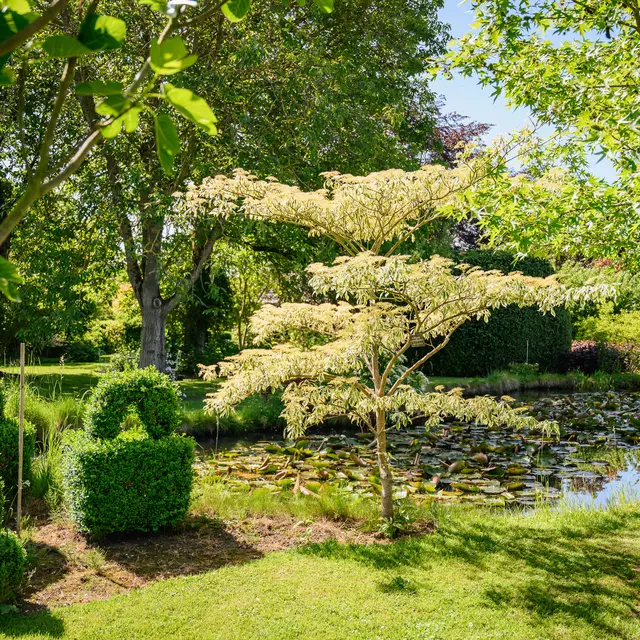 HERCHIES_Jardin-Du-Brule_2026©VincentColin (27)
