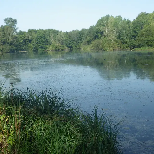Etang de Lavilletertre