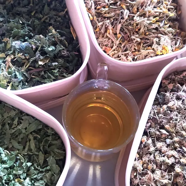 création de tisane