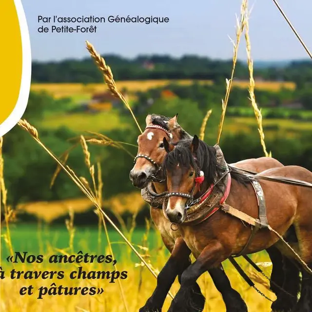JEP-PETITE-FORET-2026