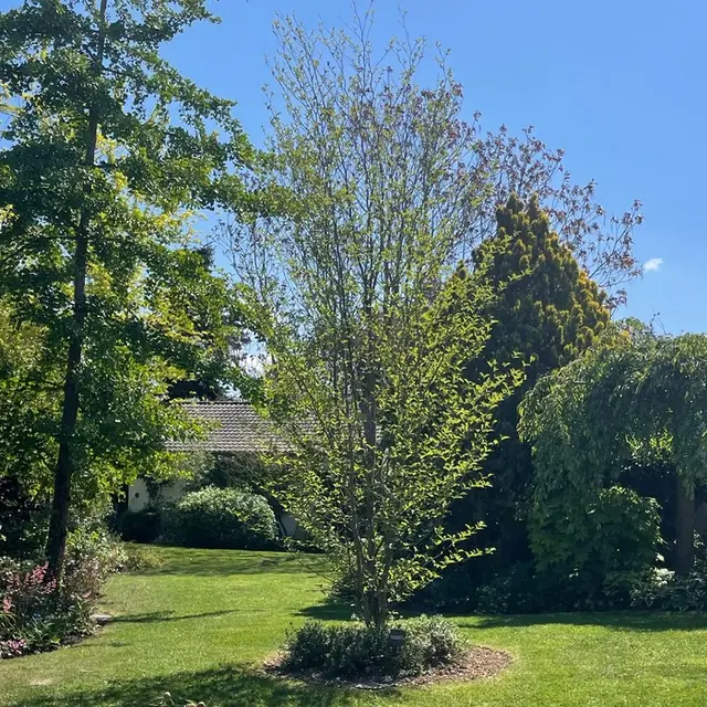 Jardin Baume et Bonheur©V.Armbruster