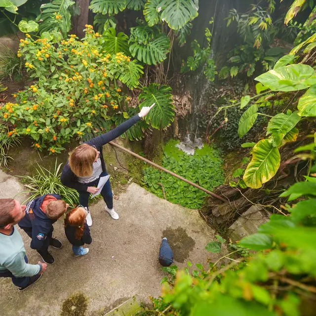 Jardin Botanique du Beau Pays à Marck