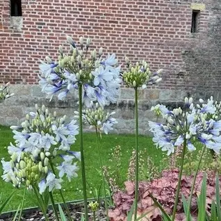 Jardin de la Paix