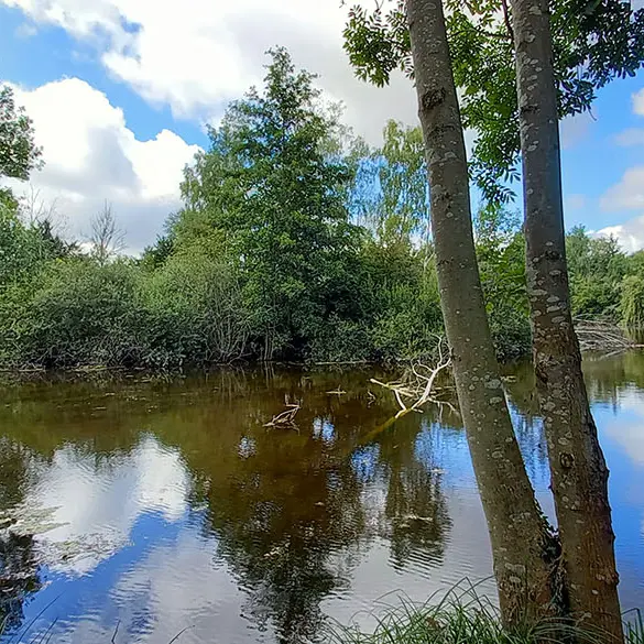 Sortie marais Solitude < Laon < Aisne < Hauts-de-France