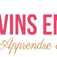 VINS EN NORD - Logo