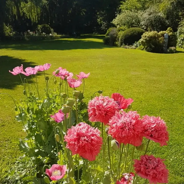 Les Jardins Hoymille accueil velo