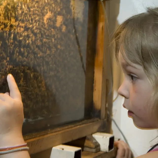 Les ateliers de l'abeille à Chavignon