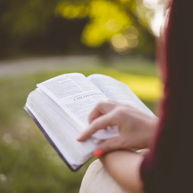 Livre (4)