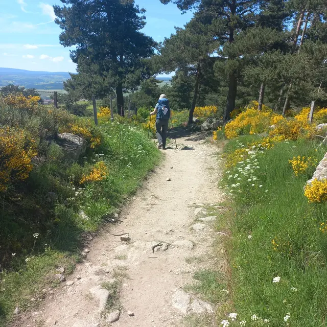 Sur le chemin avec Betty