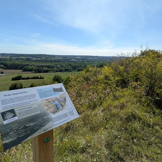Pelouse Chaouïa II < Oeuilly < Aisne < Hauts-de-France