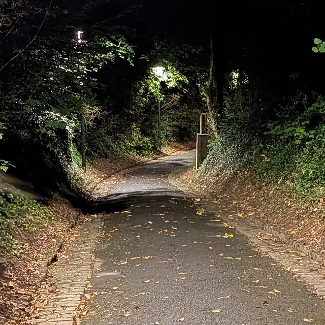 Sortie nature nocturne 2025 < Laon < Aisne < Picardie