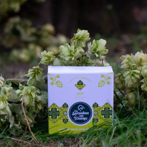 Savonnerie des Flandres