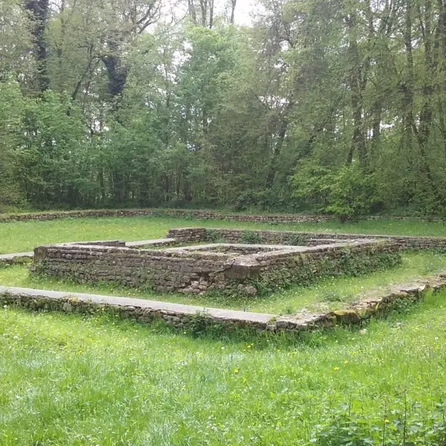 Forêt d'Halatte