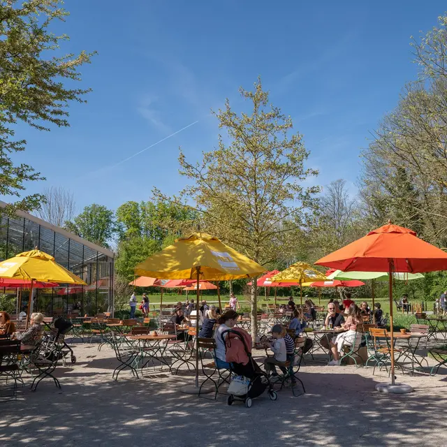 Terrasse de La Serre Parc Mosaïc @ENM