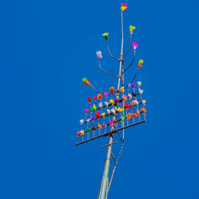 Tir a l'arc - aout 22-3