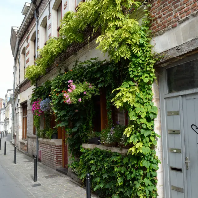 TSC/SCENESDUNORD