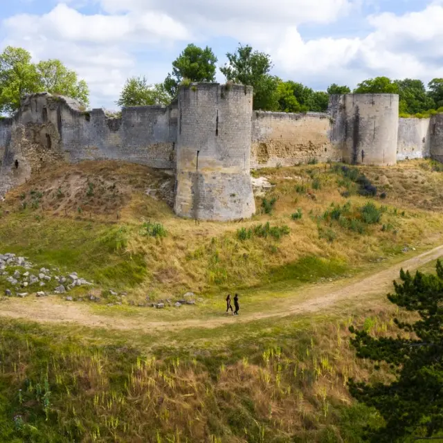 Vestiges du château de Coucy(2)
