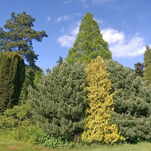 manoir aux loups