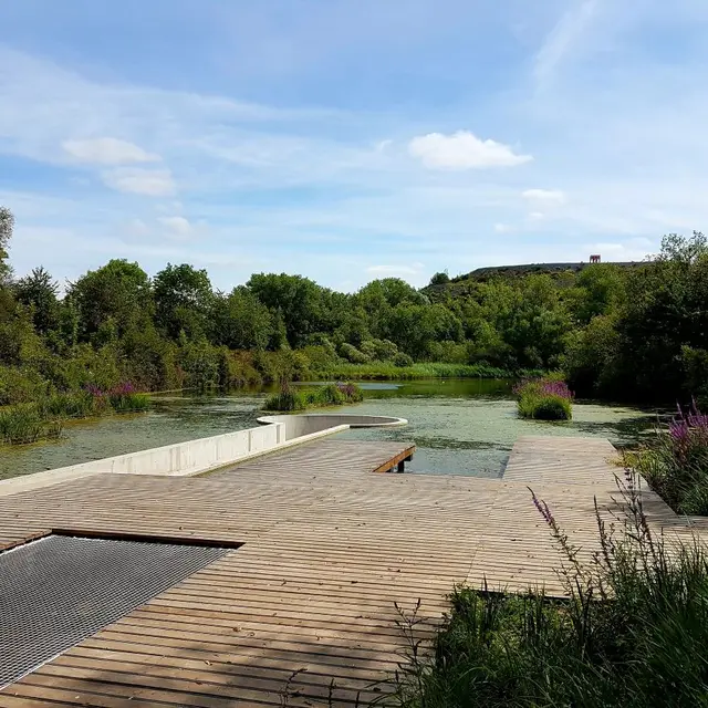 marais-de-la-galance_1