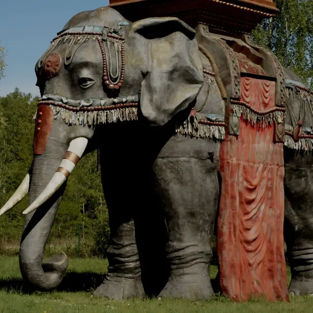 memoires-elephant-phenix-valenciennes