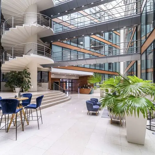 mitwit lille flandres 43