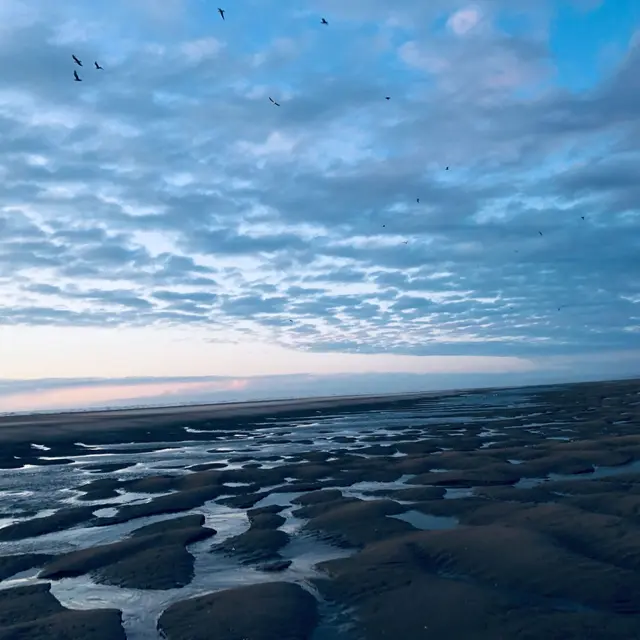 ocean-memoire-phenix-valenciennes