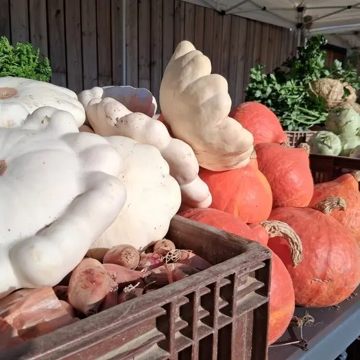 Trésors d’Automne_1