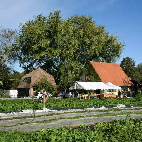 Portes ouvertes de la Ferme du Recueil_1