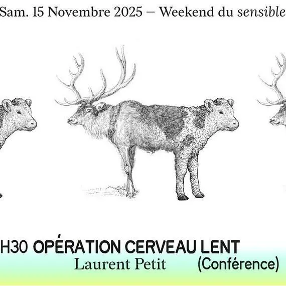 Opération Cerveau Lent - Laurent Petit_1