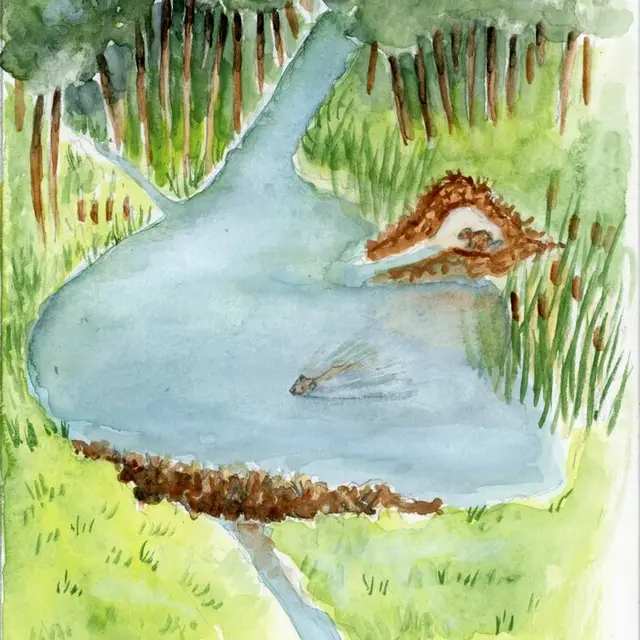 Balade naturaliste : Branche - toi_1