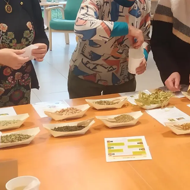 atelier création de tisane sénior