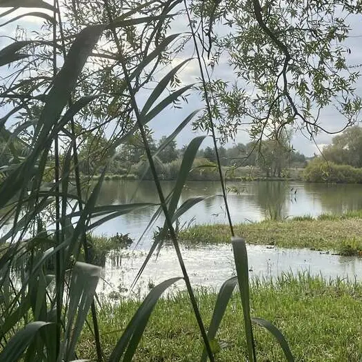 Balade naturaliste : regards d’automne_1