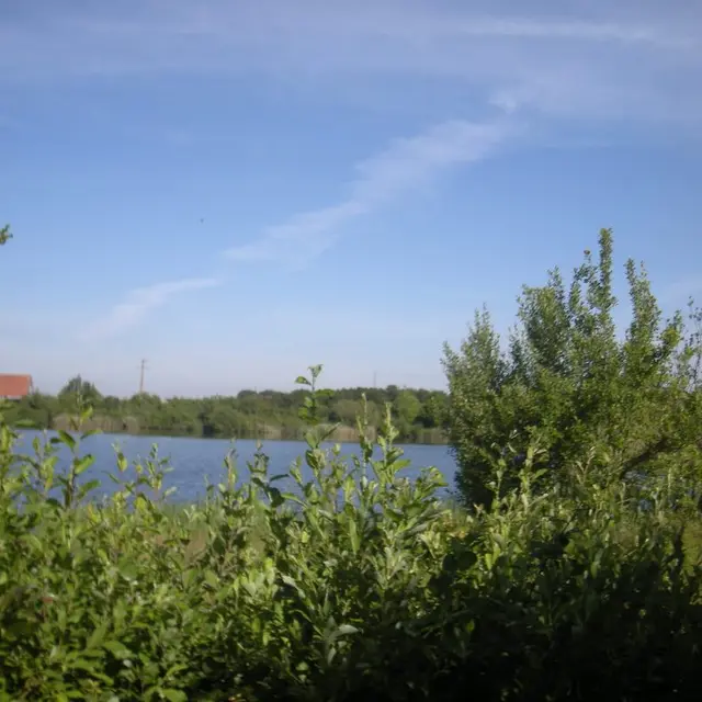 argilière St momelin