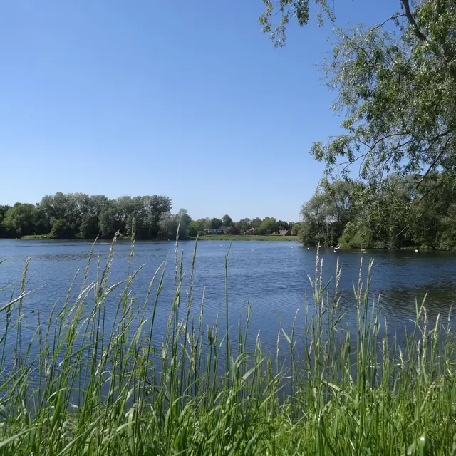 Visite guidée à la découverte de la préservation du patrimoine naturel de la chaine des lacs_1