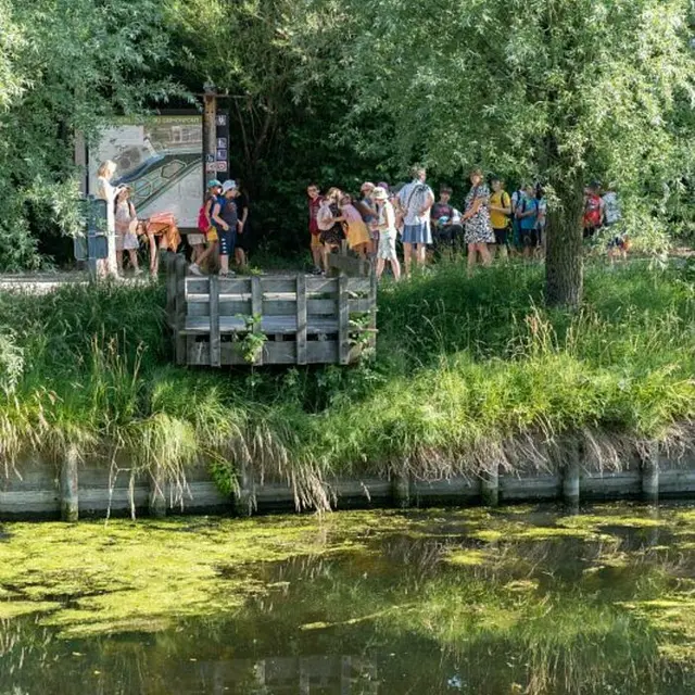 Balade naturaliste : découverte des bassins filtrants_1