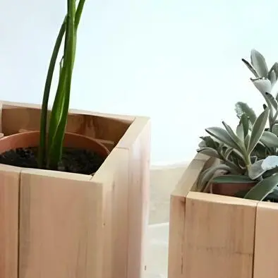 Atelier : Mini jardinière de printemps_1