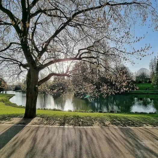 Visite olfactive au parc Barbieux_1