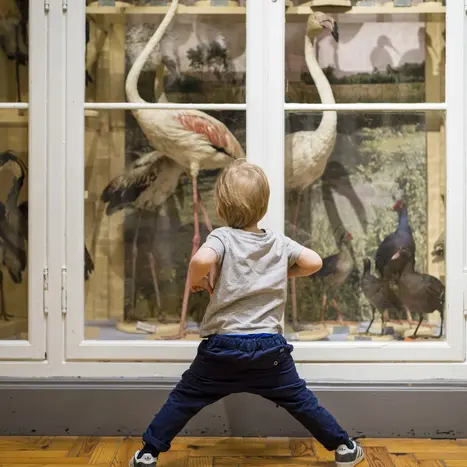 Création de poésie à hauteur des tout-petits / Atelier participatif autour des tapis sensoriels_1