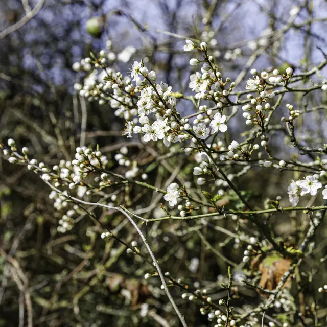 ca-nature1_diaporama