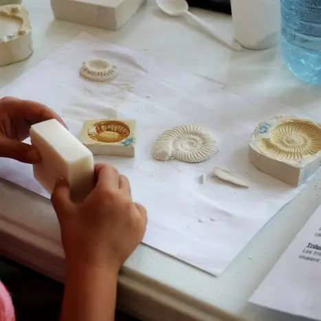 Les petits labos du Musée Les fossiles / à la Pouponnière_1